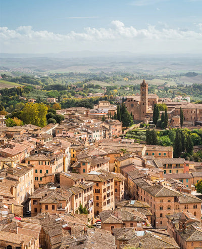 SIENA: THE PALIO OF THE CONTRADE