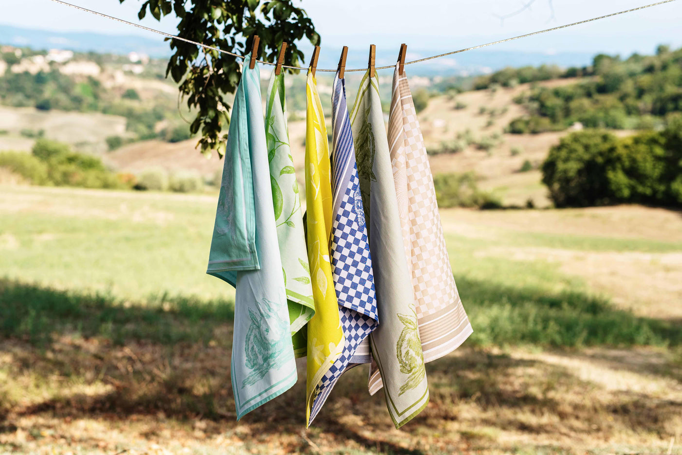 Dish Towels
