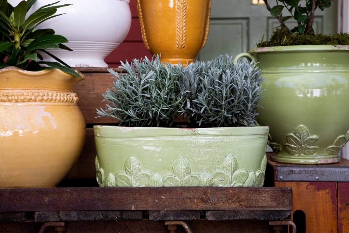 Planters & Cachepots