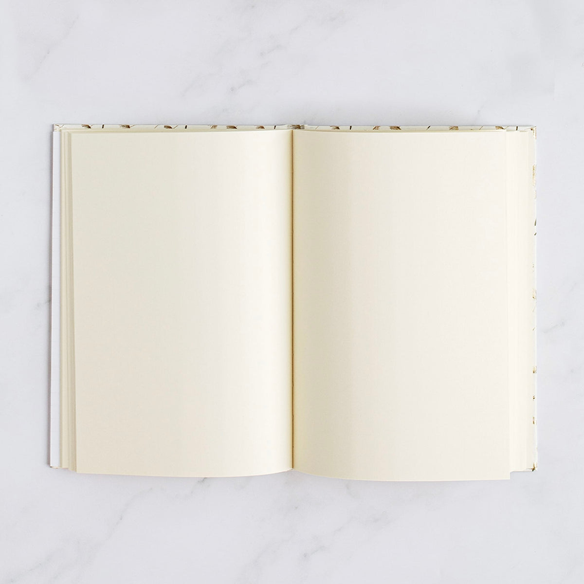 Carta Italiana Blue Leaf Notebook