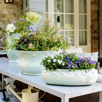 Giardino di Fiori Celadon Round Planter