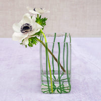 Nuovo Stripe Green Square Vase