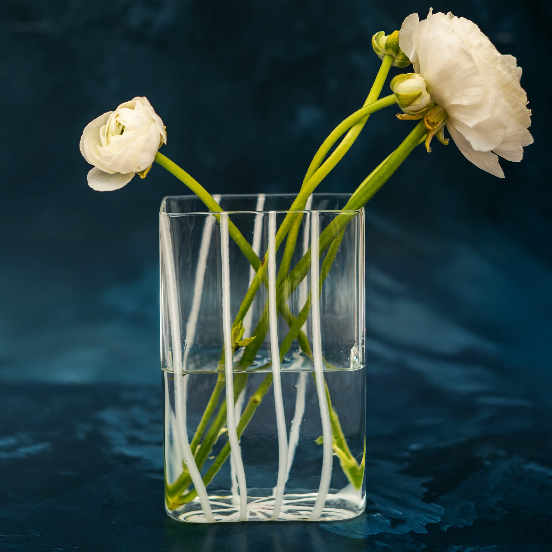 Italian Vases - VIETRI
