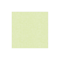Papersoft Napkins Easy Green Dinner Napkins (Pack of 20)
