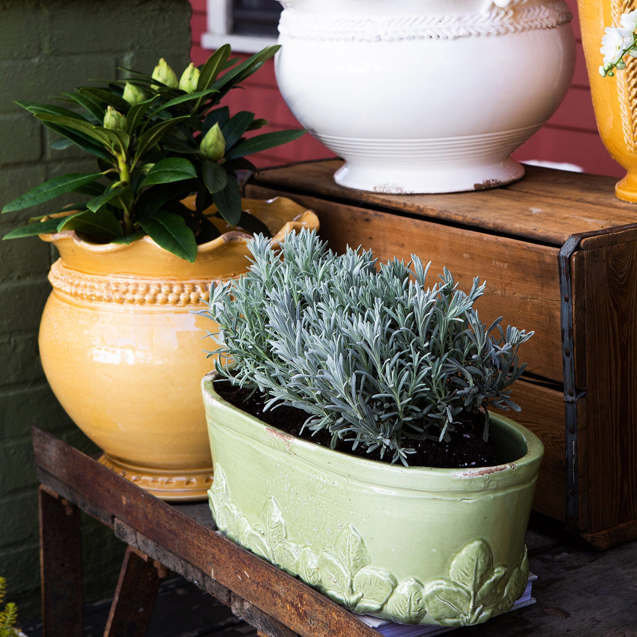 Vietri Garden Planter - Thumbnail 2