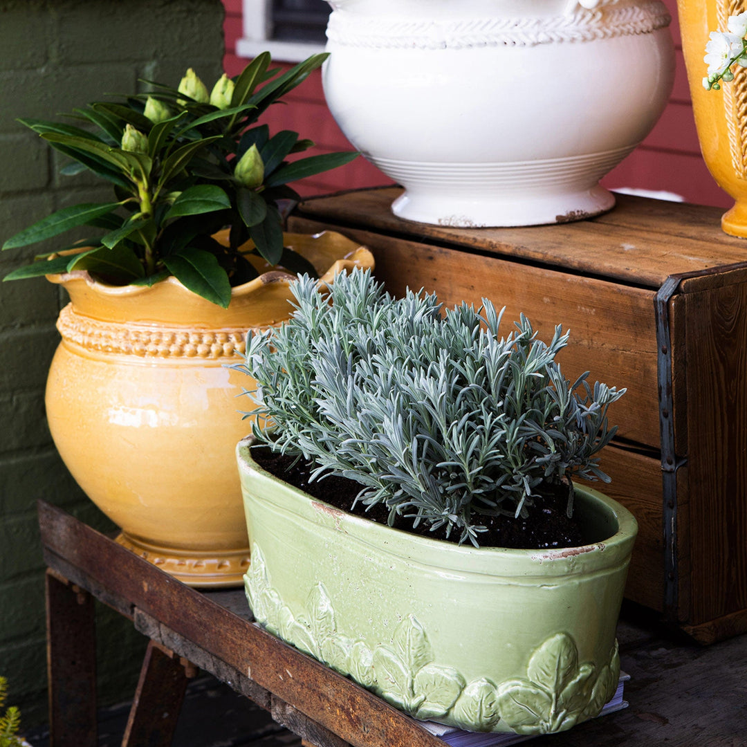 oval plant pots Rustic Garden Linen Basil Oval Planter – VIETRI