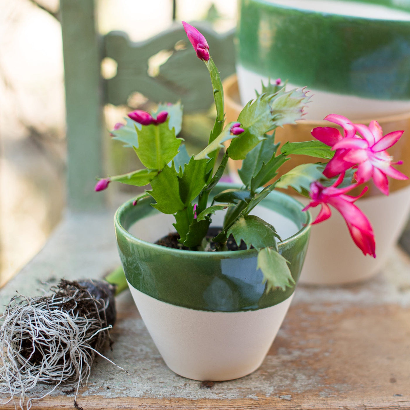 Viva Garden Green Reactive Small Cachepot