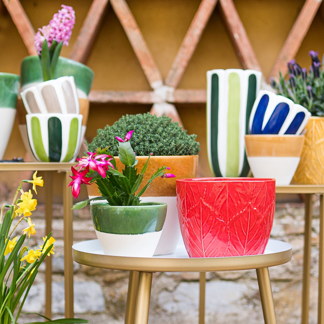 Viva Garden Green Reactive Small Cachepot