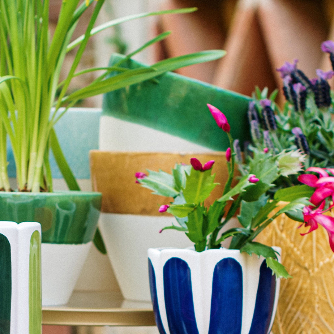 Viva Garden Amber Reactive Medium Cachepot