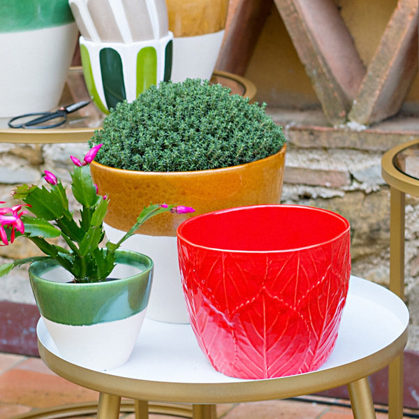 Viva Garden Amber Reactive Large Cachepot