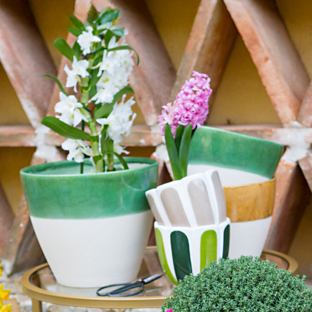 Viva Garden Green Reactive Large Cachepot