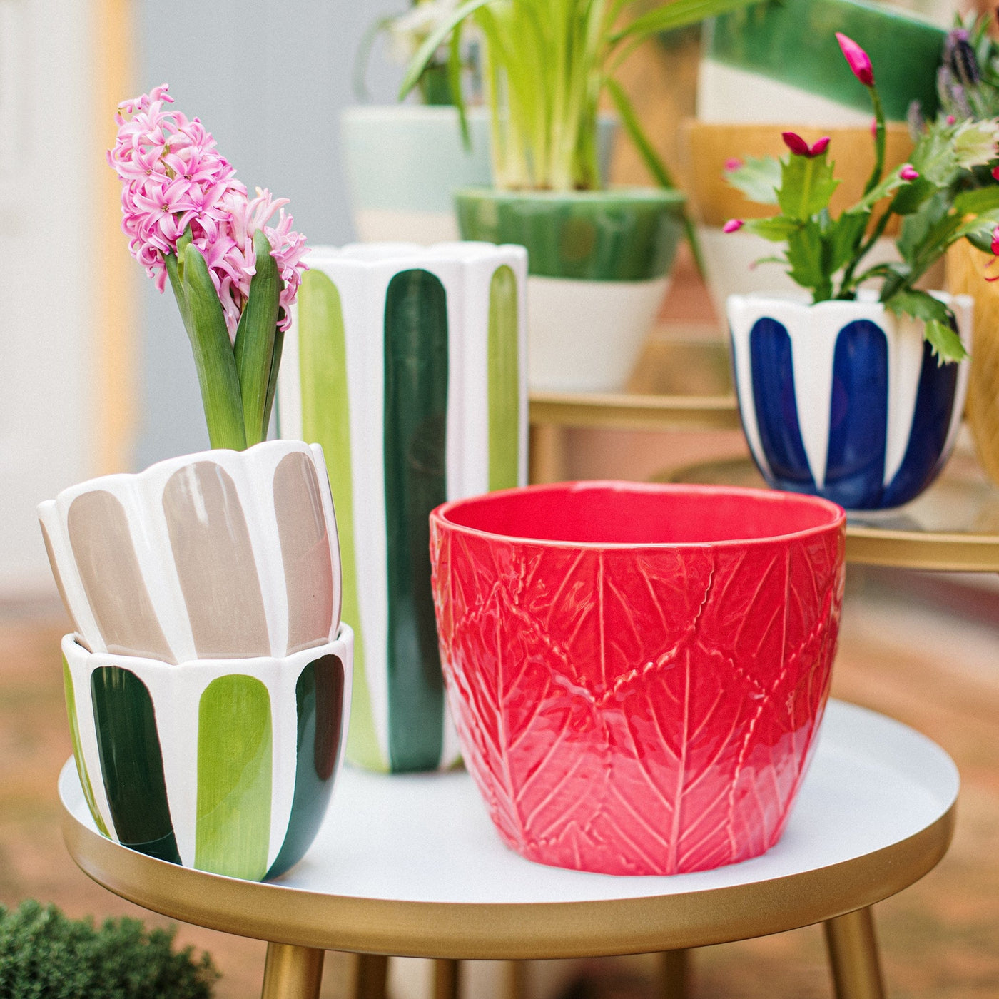 Viva Garden Red Embossed Leaves Cachepot