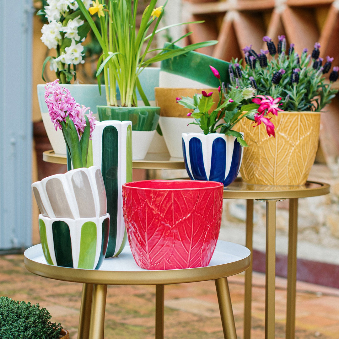 Viva Garden Red Embossed Leaves Cachepot