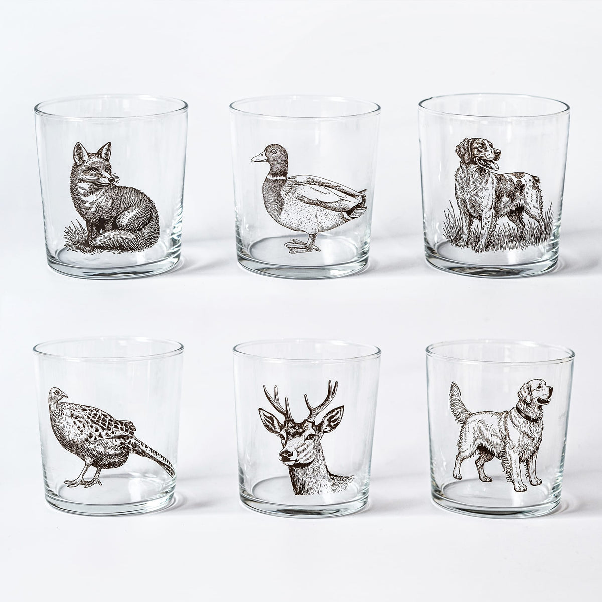 Wildlife Assorted Tumblers - Set of 6
