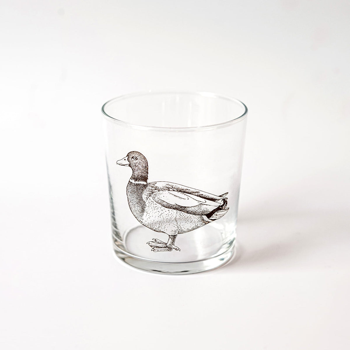 Wildlife Assorted Tumblers - Set of 6