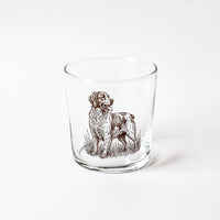 Wildlife Assorted Tumblers - Set of 6