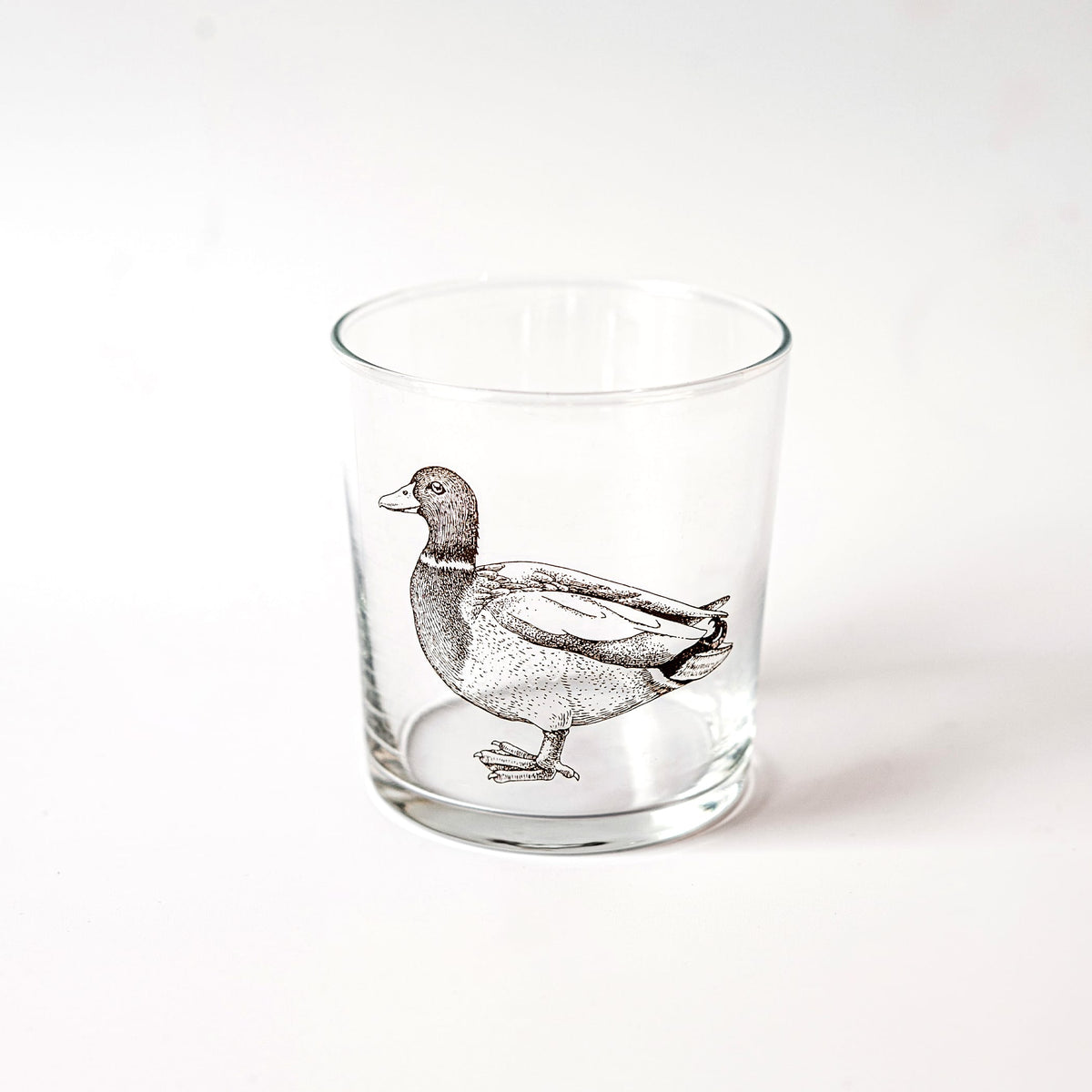 Wildlife Assorted Tumblers - Set of 6