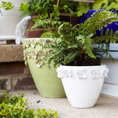 Garden Accessories