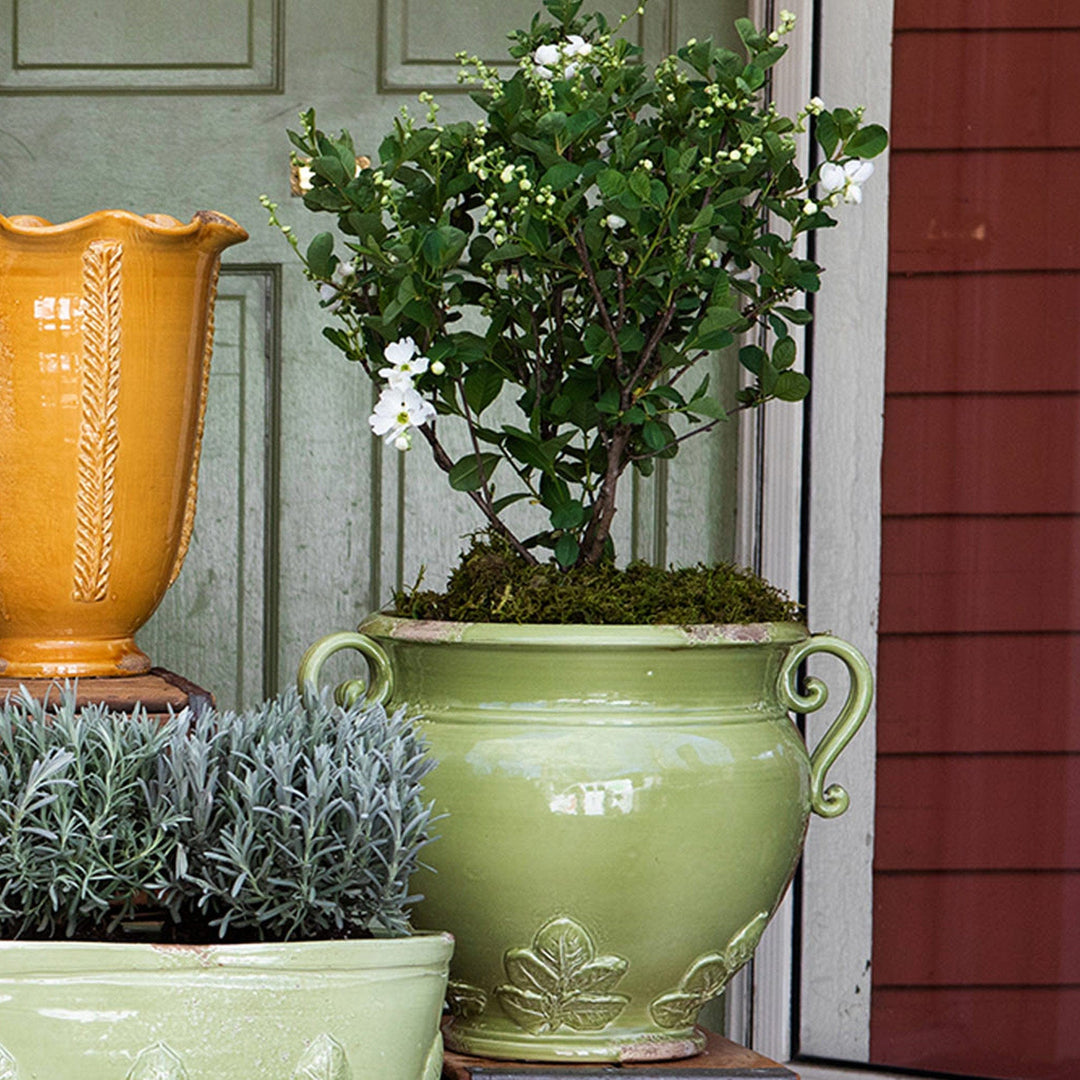 rustic pot planter Rustic Garden Pistachio Basil Round Planter by Vietri