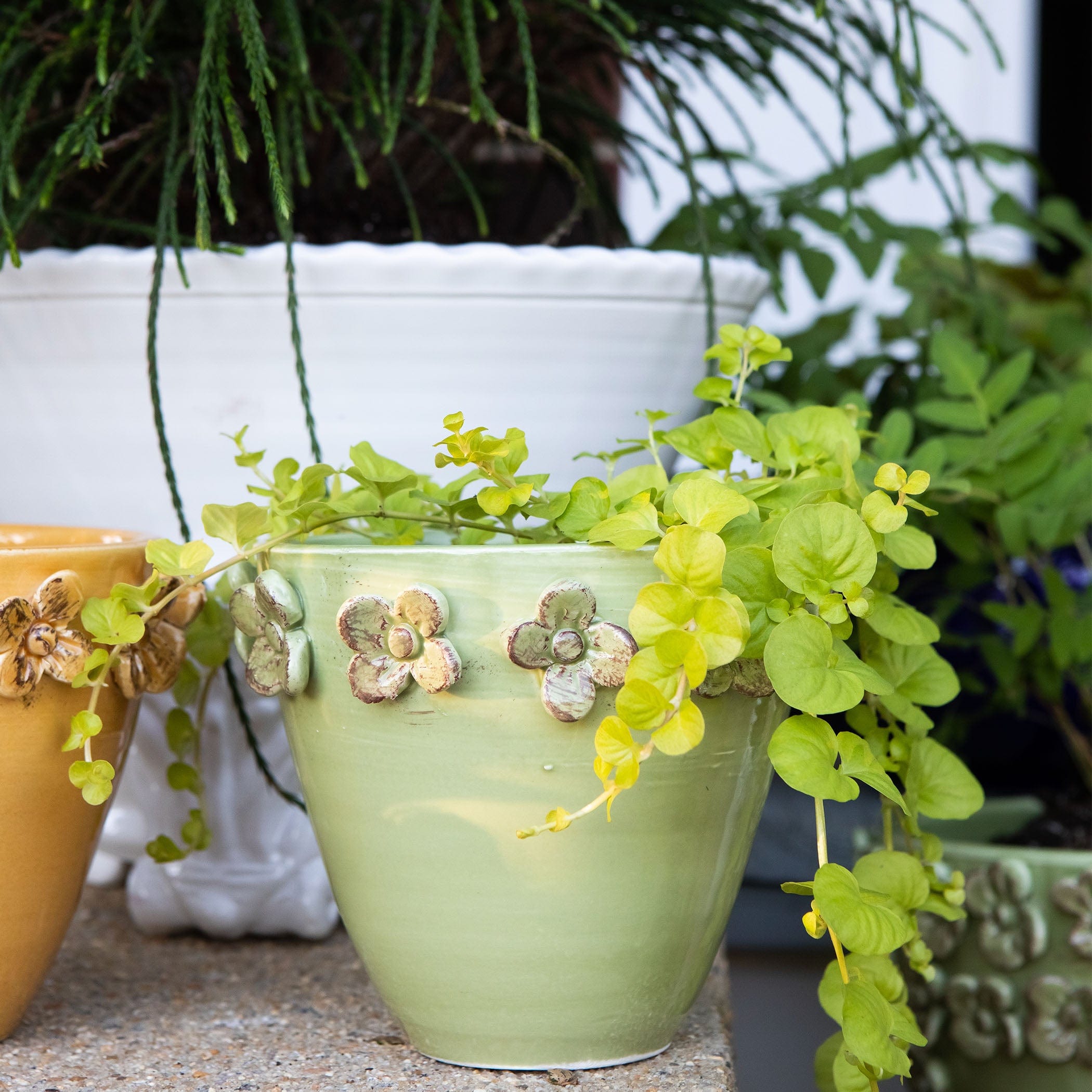 Rustic Garden Small Cachepot – VIETRI