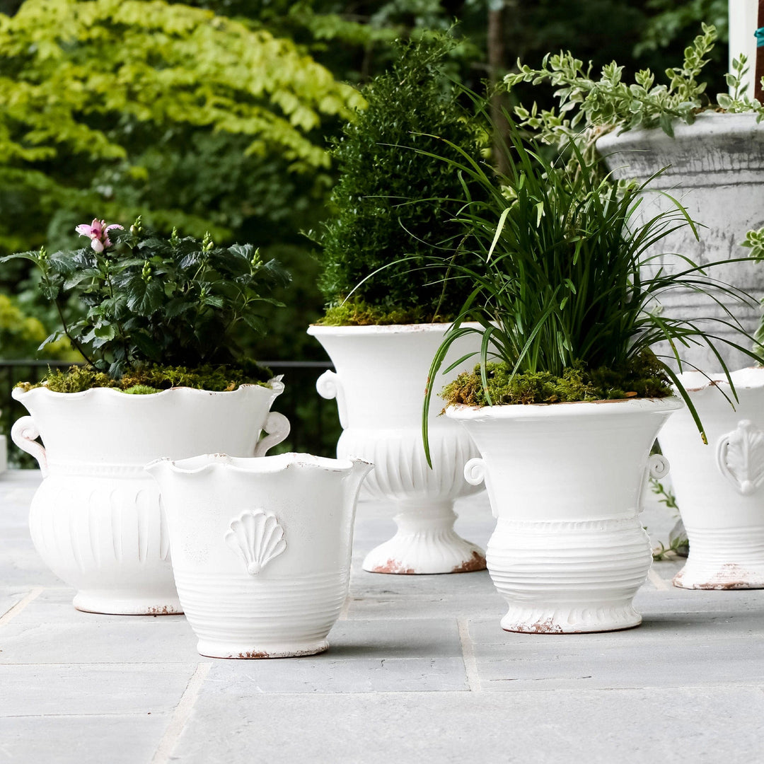 large white planter pot Rustic Garden White Large Scallop Planter